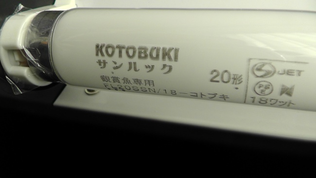 楽天市場 スリムでスタイリッシュな60cm水槽用ライト w形 1灯式 のスタンダードモデルです コトブキ スカイライト600 スリム トロピカルワールド楽天市場店 未購入を含む みんなのレビュー 口コミ