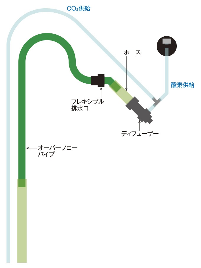 楽天市場 エーハイム ディフューザー 直径12 16 関東当日便 Charm 楽天市場店 未購入を含む みんなのレビュー 口コミ