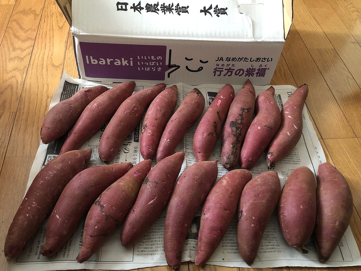 楽天市場】茨城県産 JAなめがたしおさい 行方の紫福（なめがたのしふく 