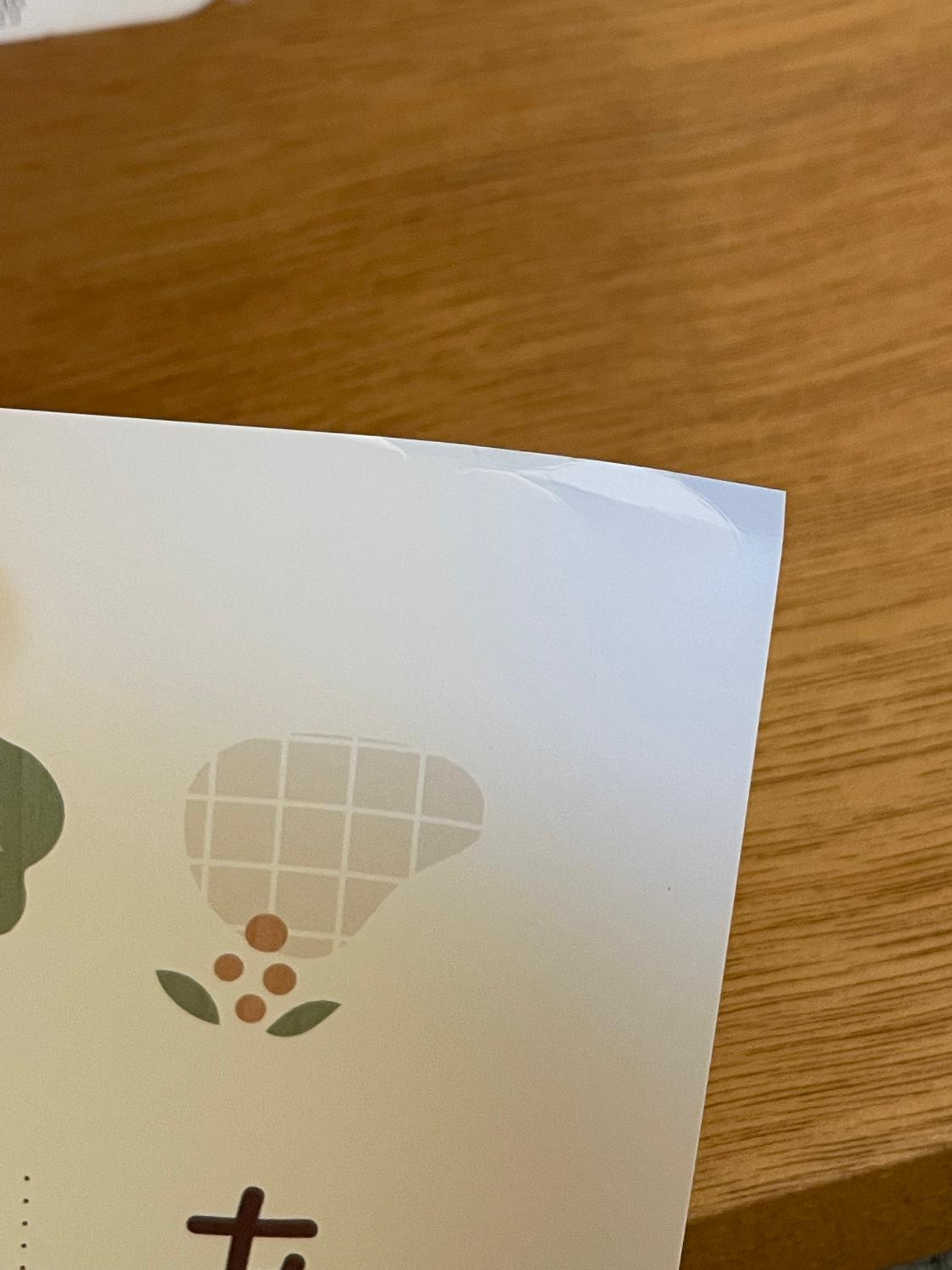 お風呂ポスター あいうえお表 知育ポスター レビュー画像3