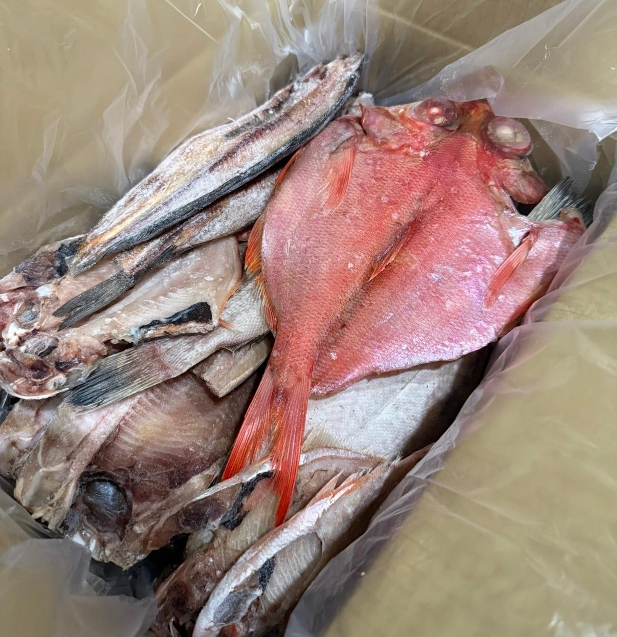 ふるさと納税 訳あり干物 沼津干物 レビュー画像2