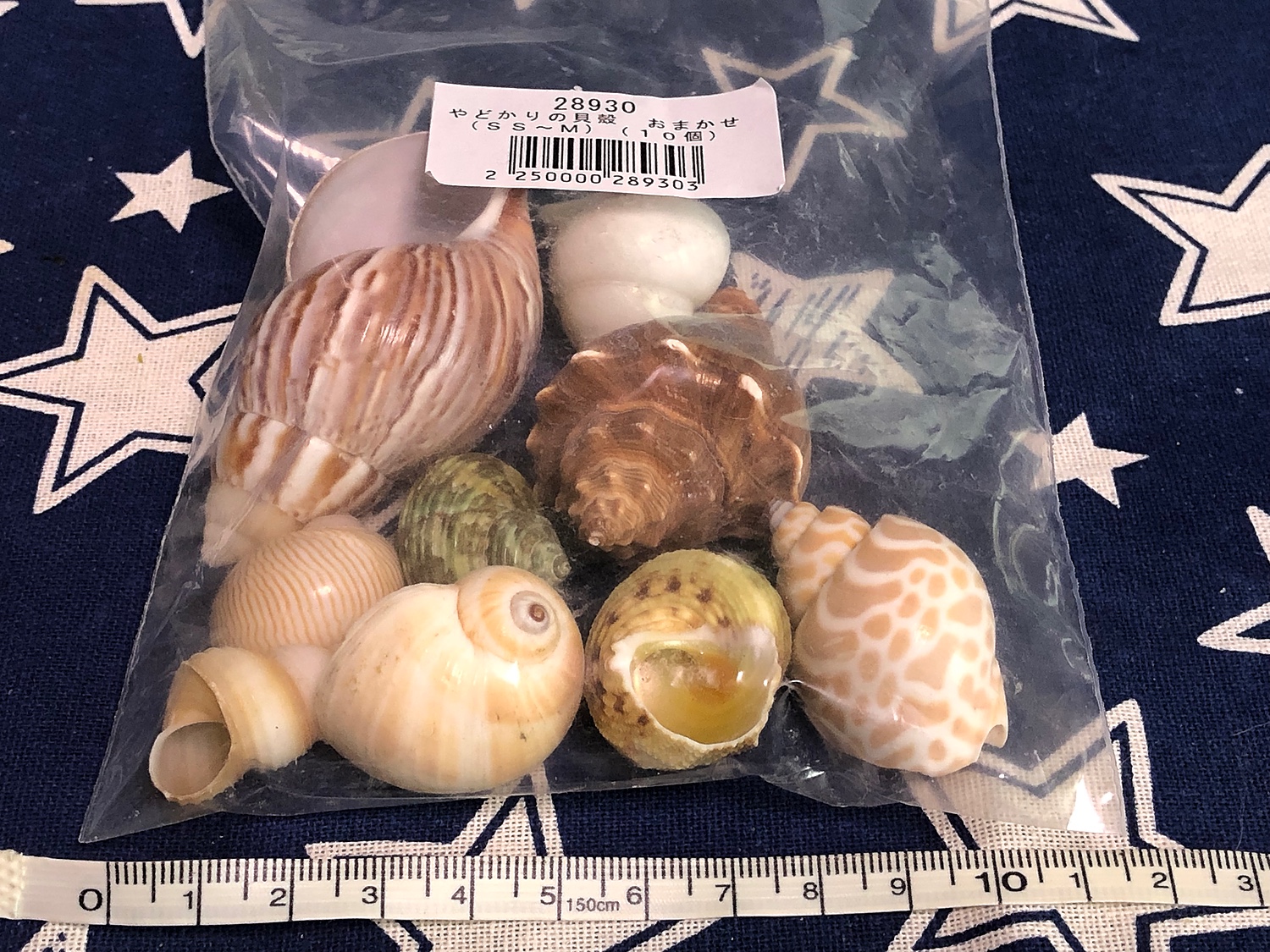 貝殻　やどかりの貝殻　ミックスサイズ　おまかせ（殻口３〜４０ｍｍミックス）（１０個）（形状お任せ）