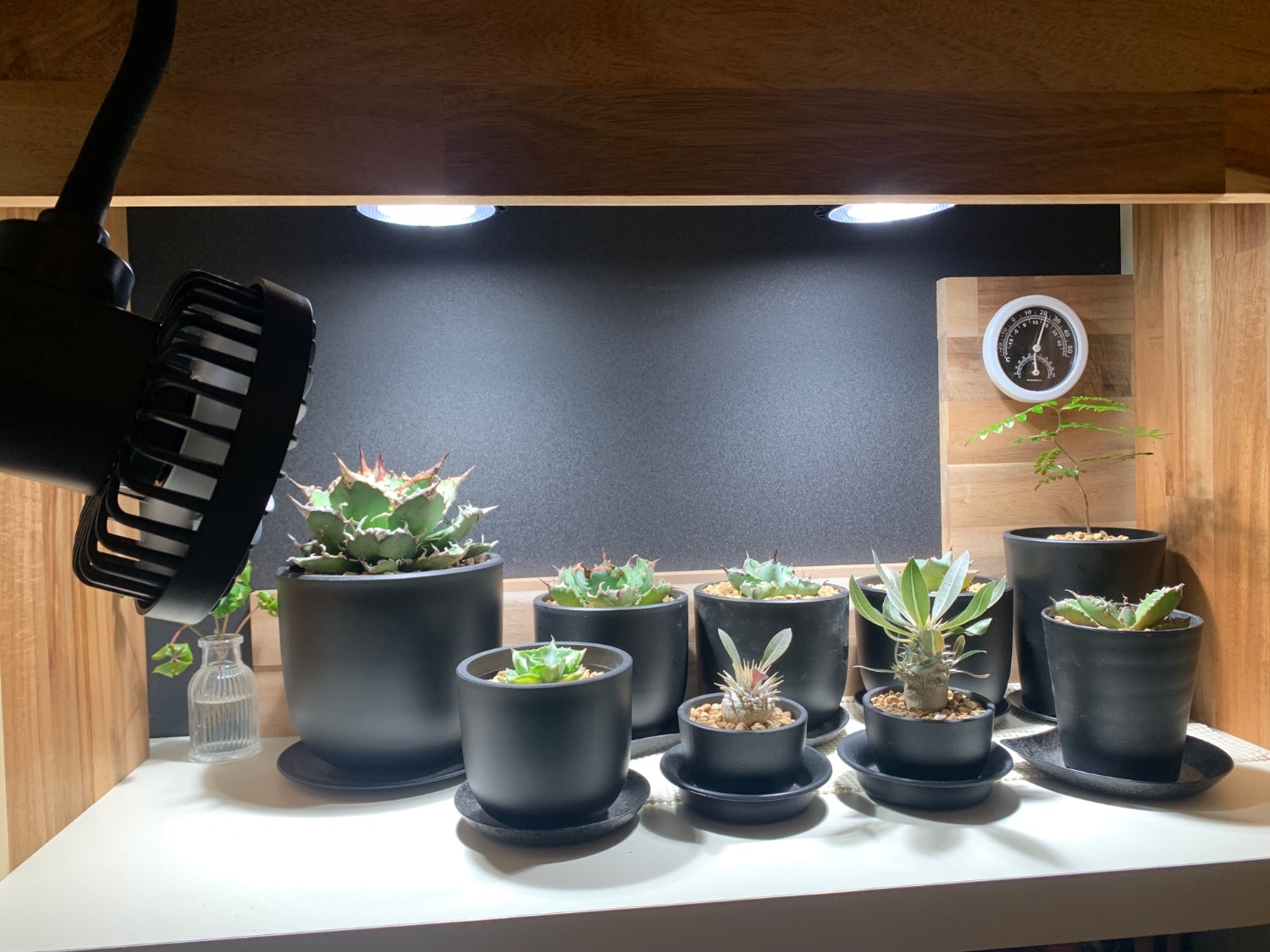 Kaiju Plant 怪獣ファン　2台 楽天市場】Kaiju Plant 怪獣ファンS 室内園芸向け サーキュレーター S
