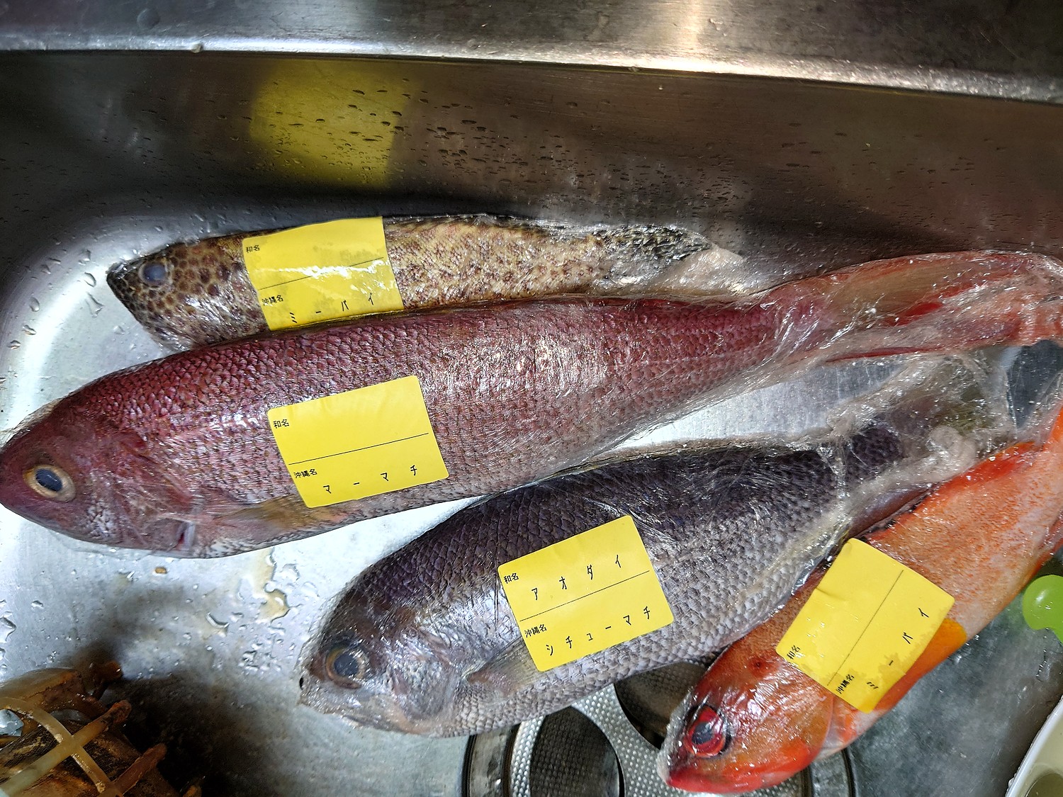 楽天市場 送料無料 おまかせ沖縄鮮魚セット2kg 2 3種類 沖縄海鮮問屋 みんなのレビュー 口コミ