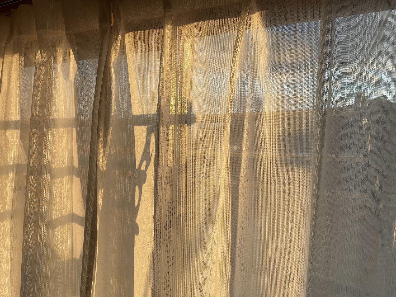 購入者レビュー写真