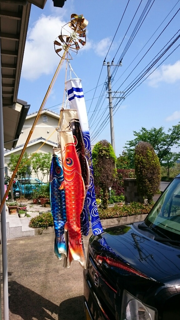 鯉のぼり こいのぼり 初節句 レビュー画像11