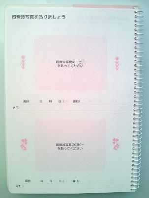 楽天市場 毎日を楽しく記録 出産準備ダイアリー ミドリ デザインフィル 28 ネコポス可 出産 日記 マタニティ 倉敷文具rukaruka 代 未購入を含む みんなのレビュー 口コミ