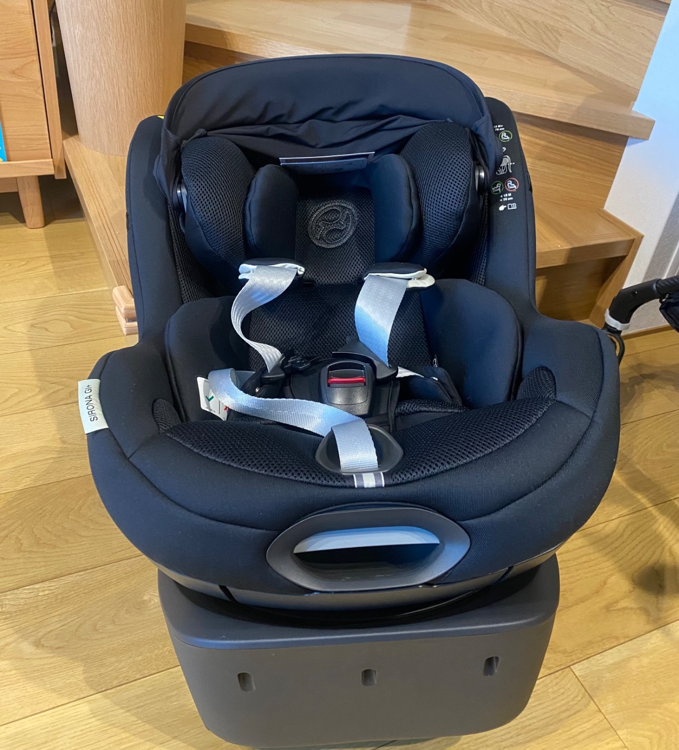 楽天市場】＼レビューで保護マットプレゼント／【2025】 サイベックス