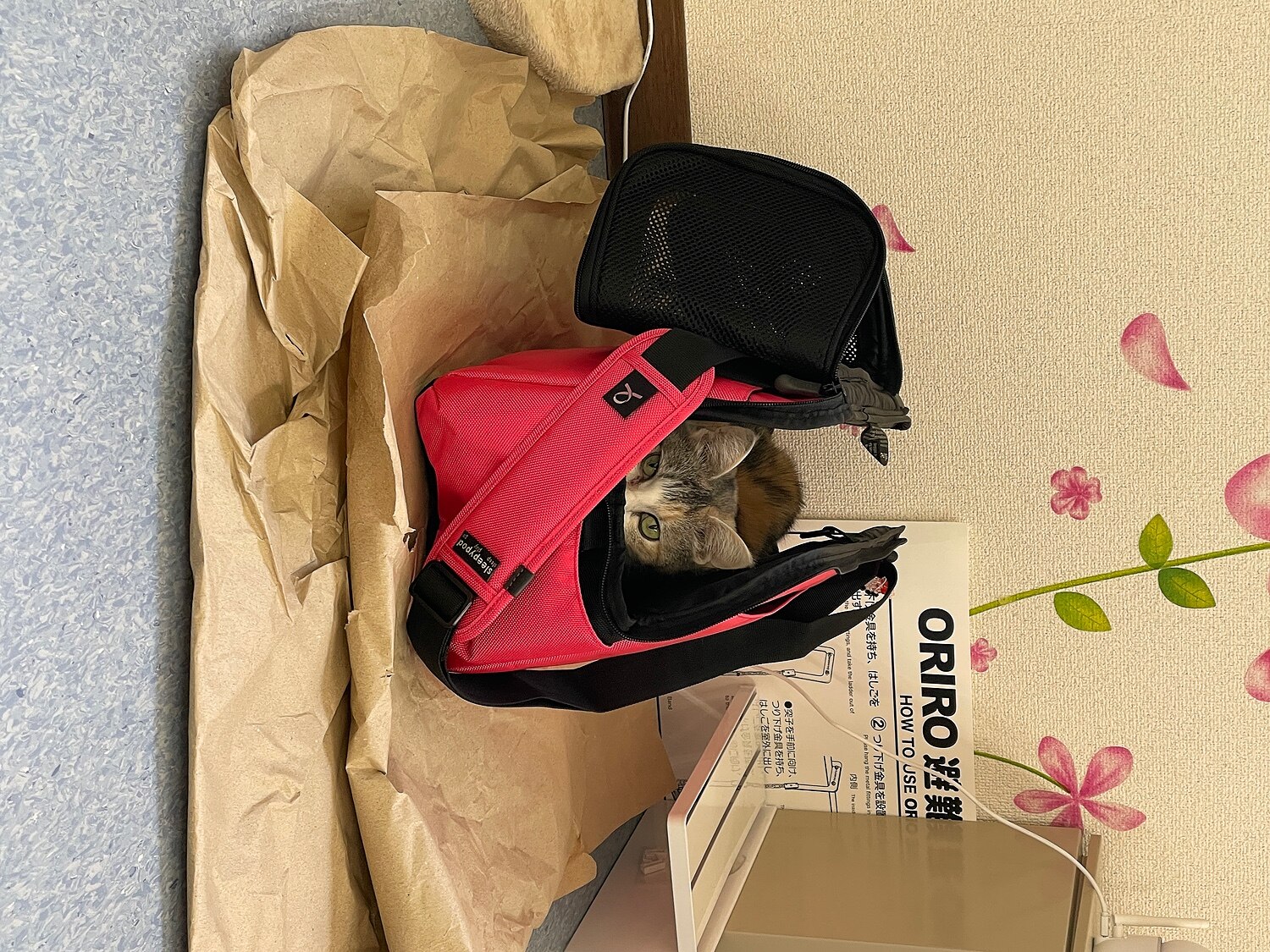 sleepypod 赤色 キャリーバッグ ・ウォーマー 付き 犬•猫用 楽天市場