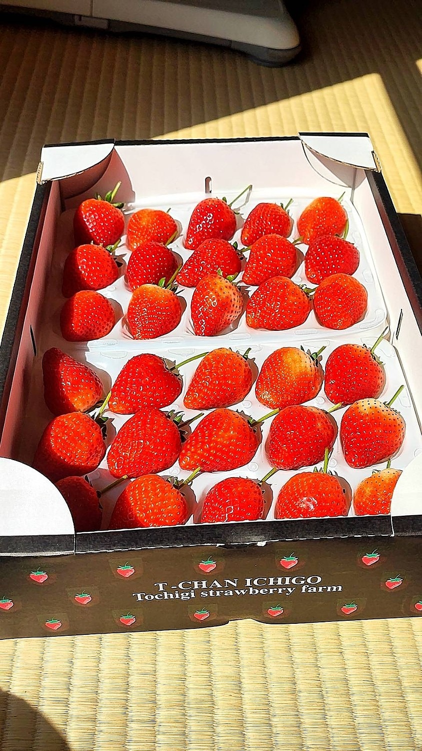 いちご⭐︎即購入大歓迎♪値下げあり♪ 奥大和ビール いちご 2021 ゆめのか [SEASONAL] – okuyamato beer