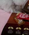 ֡EC꾦!11ࡢ80"åȥåȡɤäָΥХ饨ƥ!åȥå ߥ Х饨ƥ  (VOICE)ڥͥΡۡKITKAT 祳졼ȡۡפξʥӥ塼ܺ٤򸫤