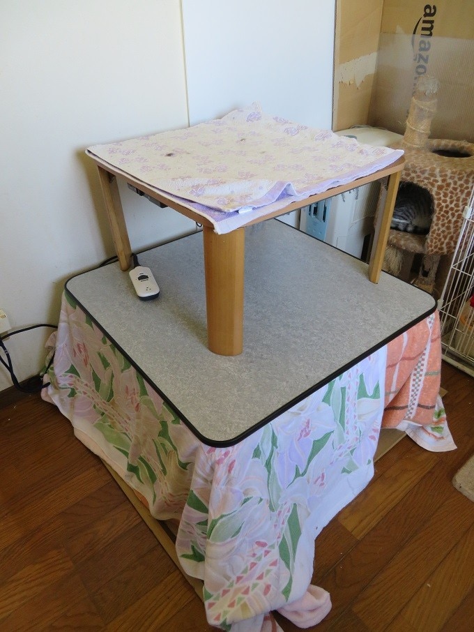 楽天市場】こたつ こたつテーブル 正方形 フラットヒーター 75×75cm