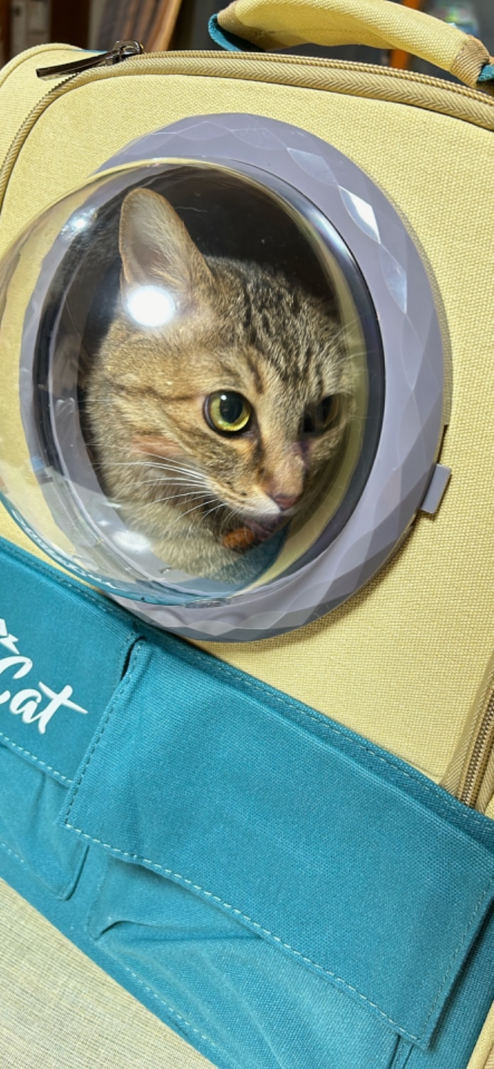 ペットキャリーリュック 宇宙船キャリー 猫キャリーバッグ レビュー画像15