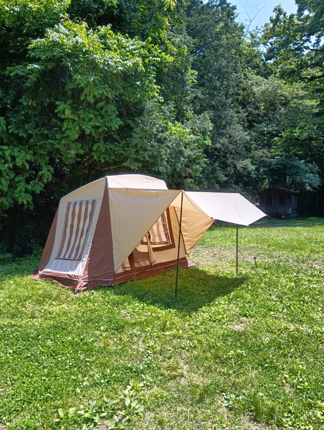 ミグラテール｜TENT｜PRODUCTS｜tent-Mark DESIGNS 【廃番特価】テン