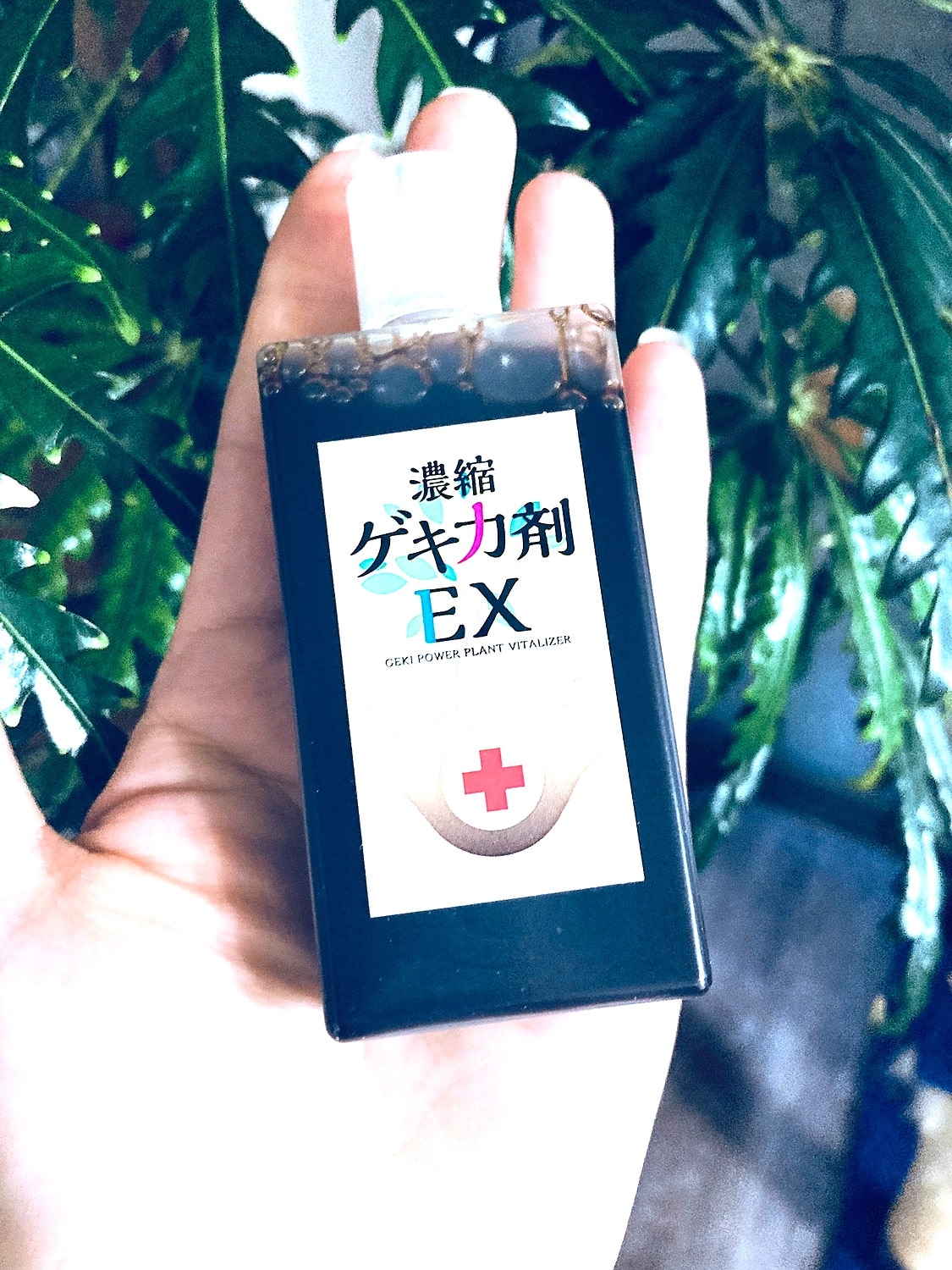 楽天市場 スポイトなし容器 濃縮ゲキ力剤ex 植物のパフォーマンスを引き出す活力剤 メール便送料無料 時間指定 日付指定不可 ゲキハナ 感激安心のお花屋さん 2ページ目 みんなのレビュー 口コミ