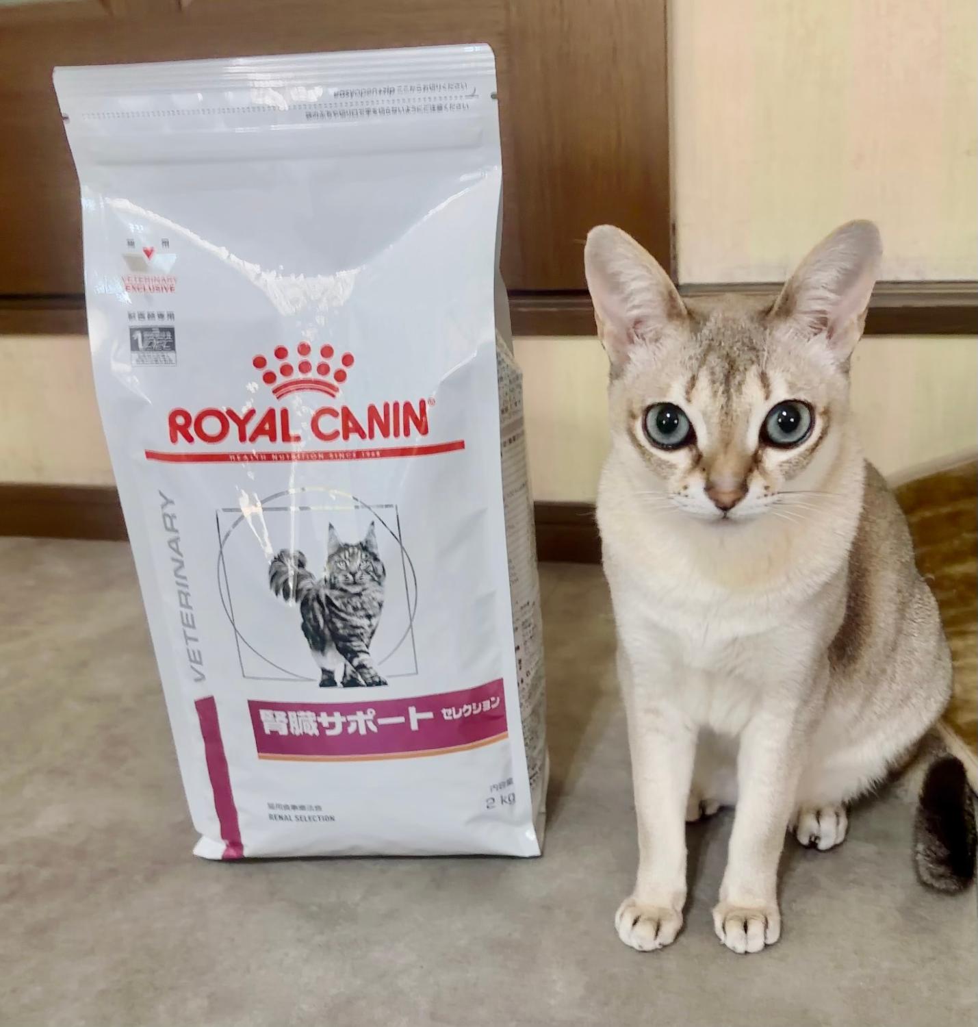 楽天市場】ロイヤルカナン 療法食 猫用 腎臓サポート セレクション