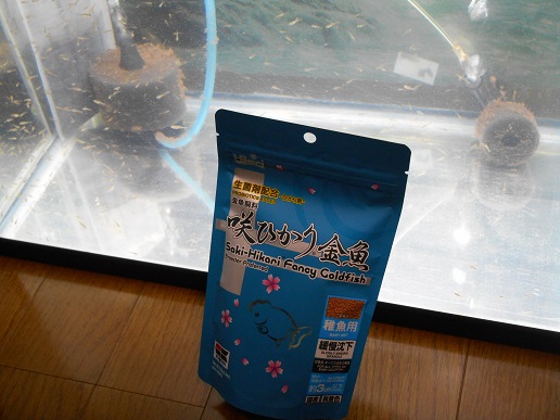 楽天市場】青 キョーリン 咲ひかり金魚 稚魚用 緩慢沈下 100g 楽天市場】青 キョーリン 咲ひかり金魚 稚魚用 緩慢沈下 100g