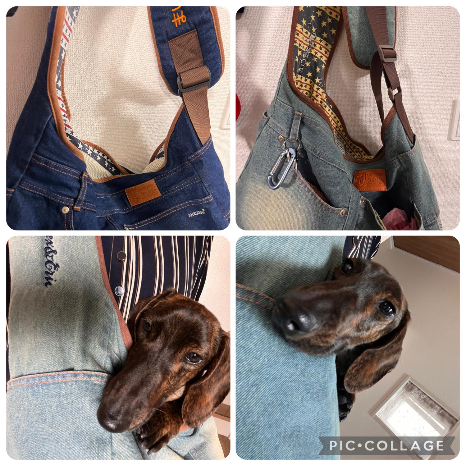 No21xPEGION スリング sサイズ 楽天市場】【メッシュ蓋 厚板 クッション付】犬 キャリーバッグ