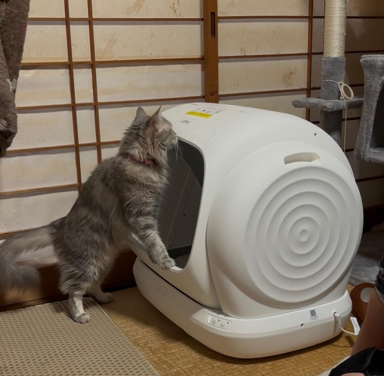 楽天市場】UBPET C41 自動猫トイレ 大型猫対応｜市販ゴミ袋対応｜106L