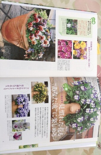 楽天市場 忙しくても続けられる キヨミさんの 庭づくりの小さなアイデア 長澤淨美 楽天ブックス 未購入を含む みんなのレビュー 口コミ