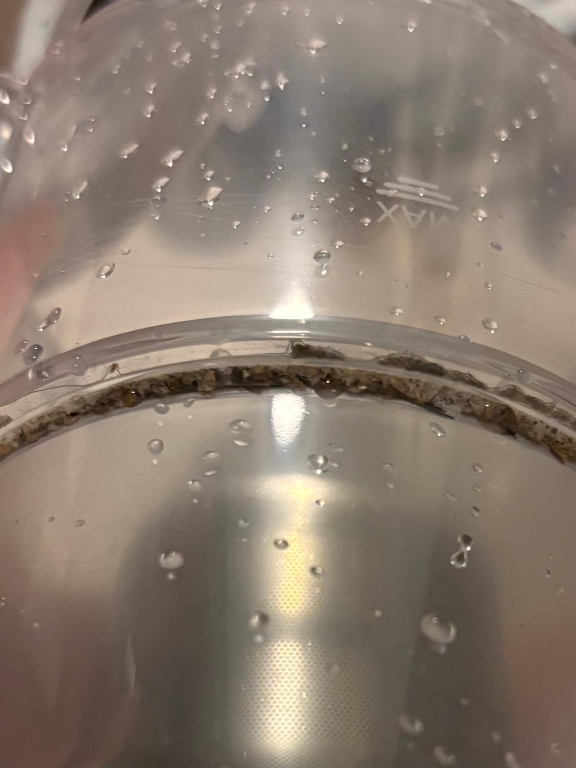 #OargeRR35 #コードレス掃除機 #自動ゴミ回収 レビュー画像11