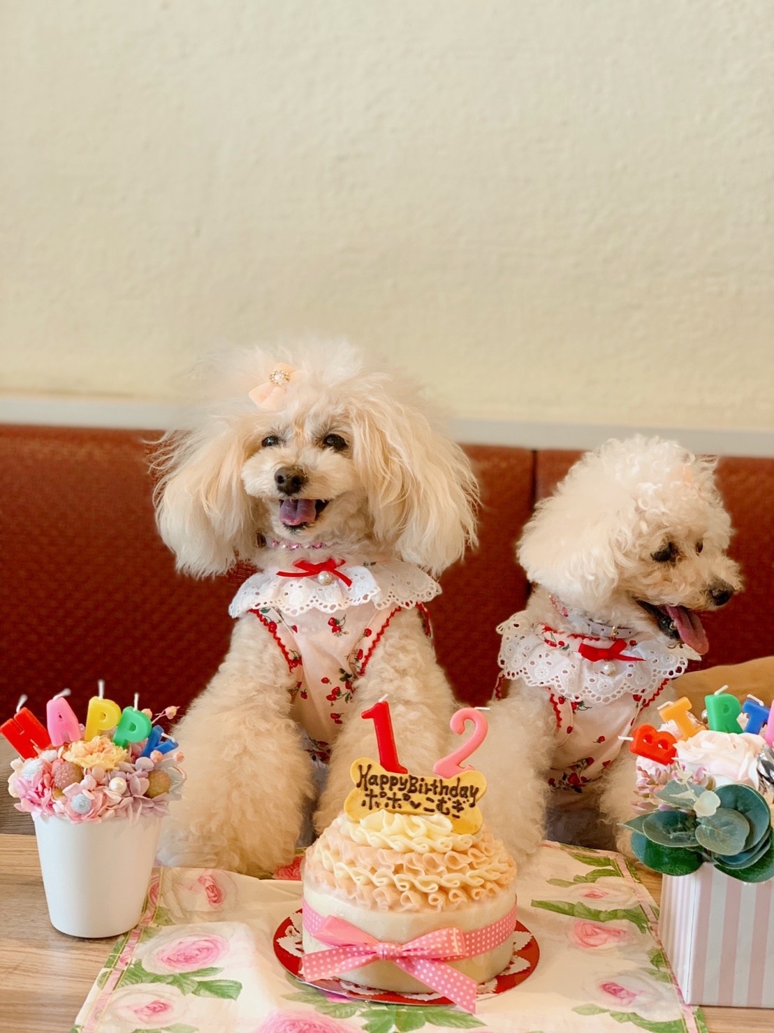 楽天市場 Girlyfrill 犬用ケーキ 犬用お誕生日ケーキ お芋 ドッグケーキ わんこケーキ 犬用ケーキ Celebwanko みんなのレビュー 口コミ