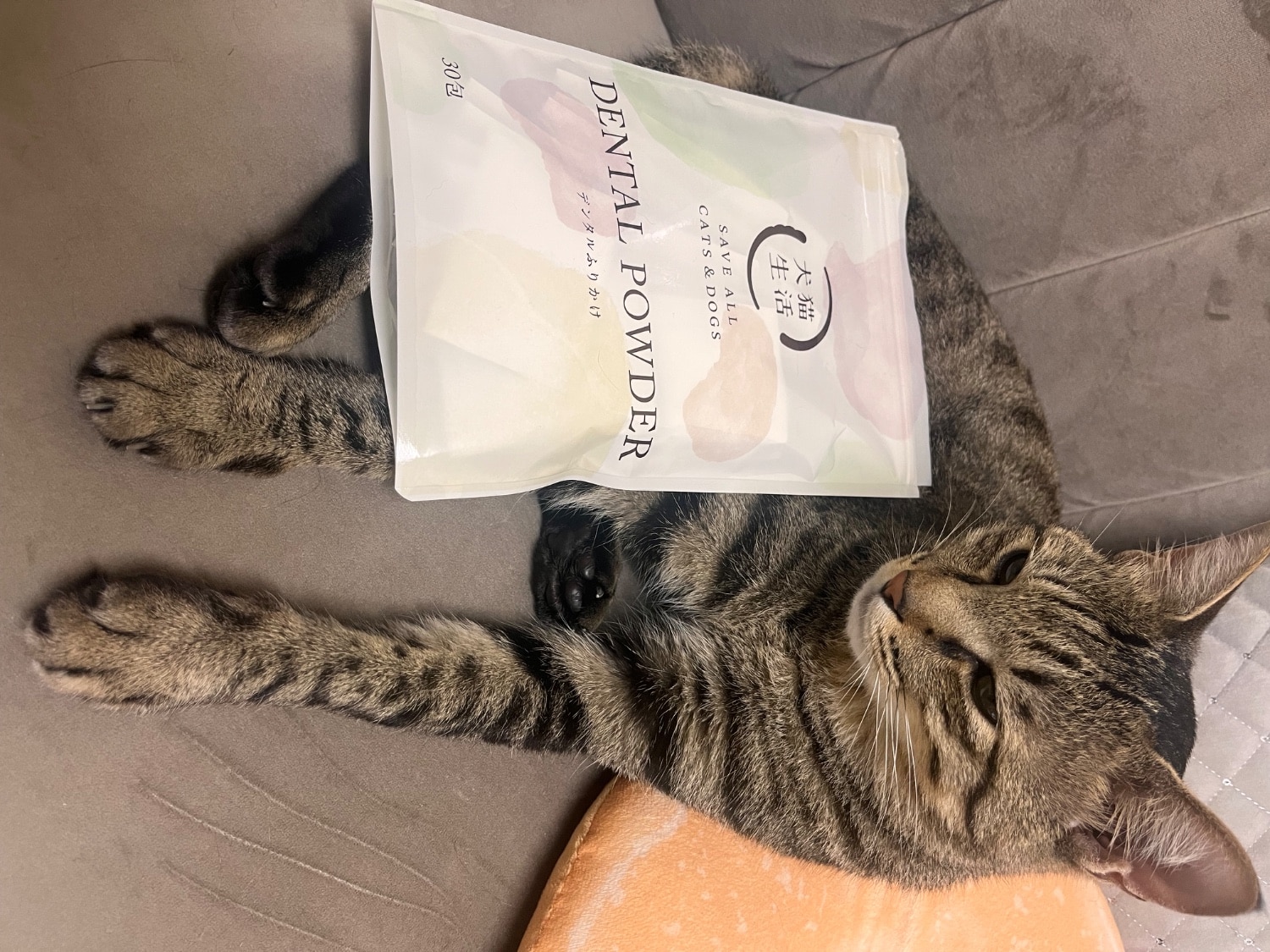 DENTAL POWDER 30包入り 猫と犬用　2つ DENTAL POWDER 30包 ×2袋 猫と犬用