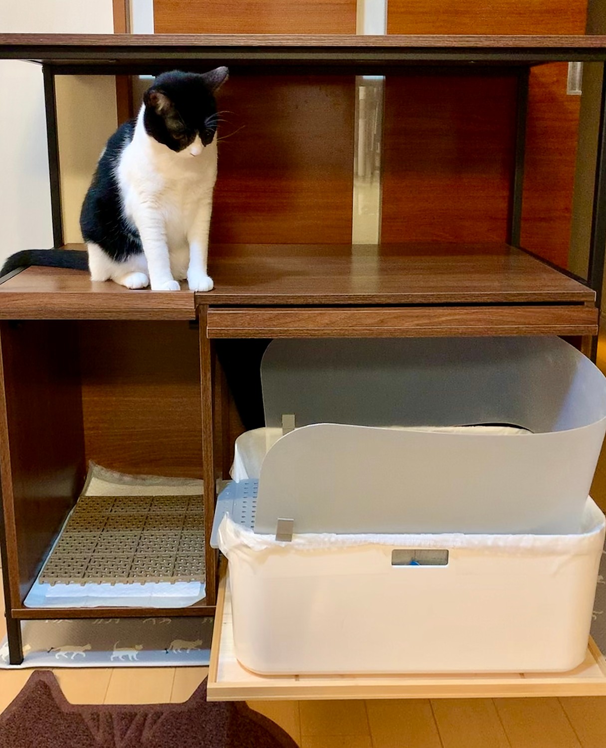 猫 トイレ 収納 隠す おしゃれ 家具 目隠し ペット用品 ねこ カバー インテリア ラック リビング 収納 棚 収納棚 猫トイレ収納 Selma セルマ レビュー画像12