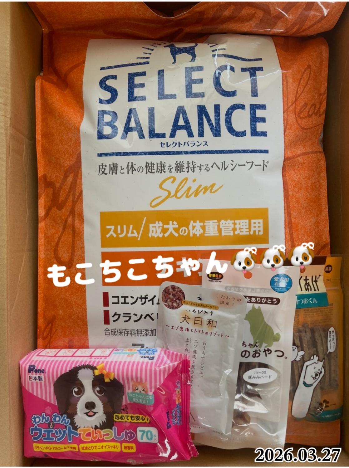 楽天市場】【最大10%OFFクーポン配布中】【おやつ＆おまけ付き