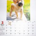 ֡ĶòDOG CALENDAR 2012ۡƸ Ƹ 륫ߥ˥Хå (2012ǯ)פξʥӥ塼ܺ٤򸫤