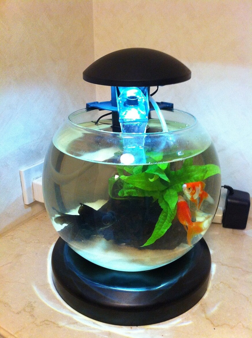 楽天市場 いつでも送料490円 3000円以上で 送料無料 17時まで 当日出荷 熱帯魚 水槽 セット フィルター ヒーター アクアリウム 格安 激安 チャーム ポイント 解説 即納 お得 楽天 通販テトラ ウォーターフォール アクアリウム Wg 25ls 1810 アズ アクア