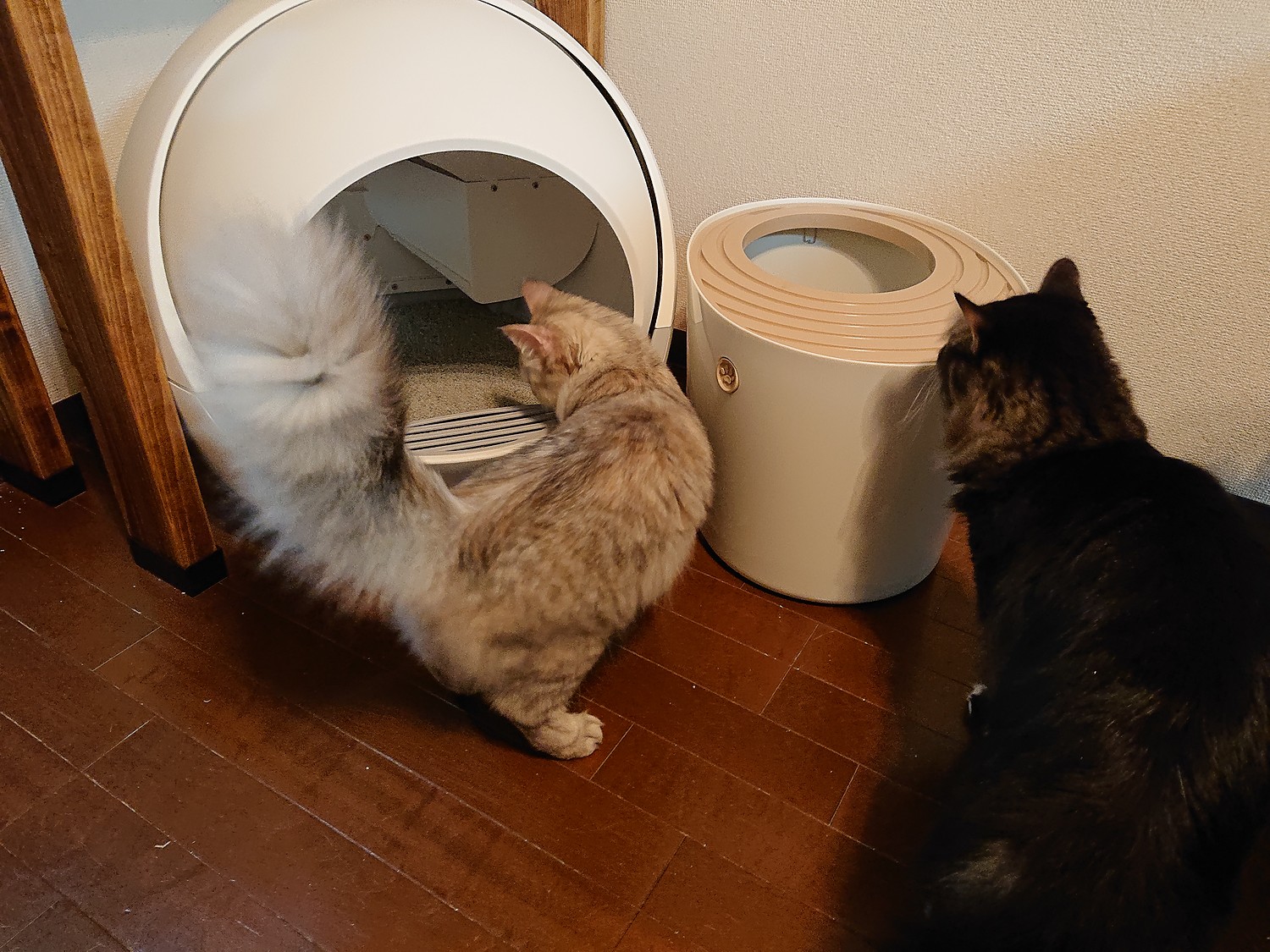 【楽天市場】【安心1年保証】 PETREE ペッツリー 猫 自動トイレ 全自動猫トイレ 猫トイレ 猫用 トイレ 自動 全自動 本体 大型 多頭