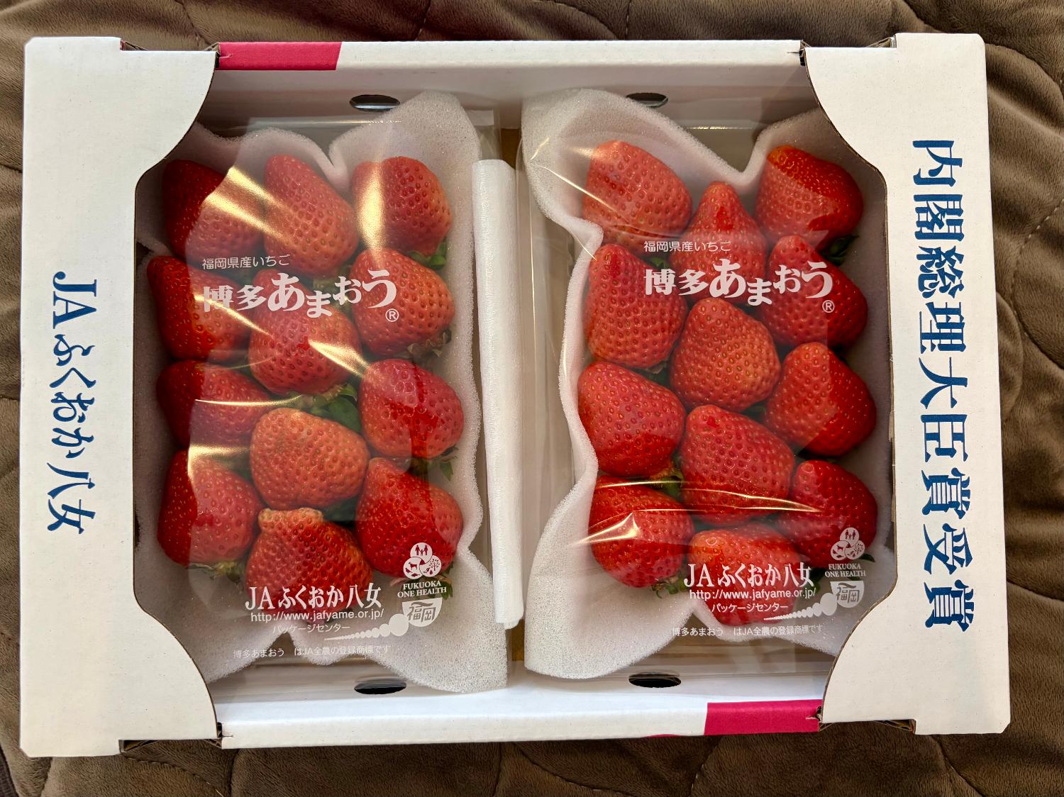 ふるさと納税 あまおう いちご レビュー画像5