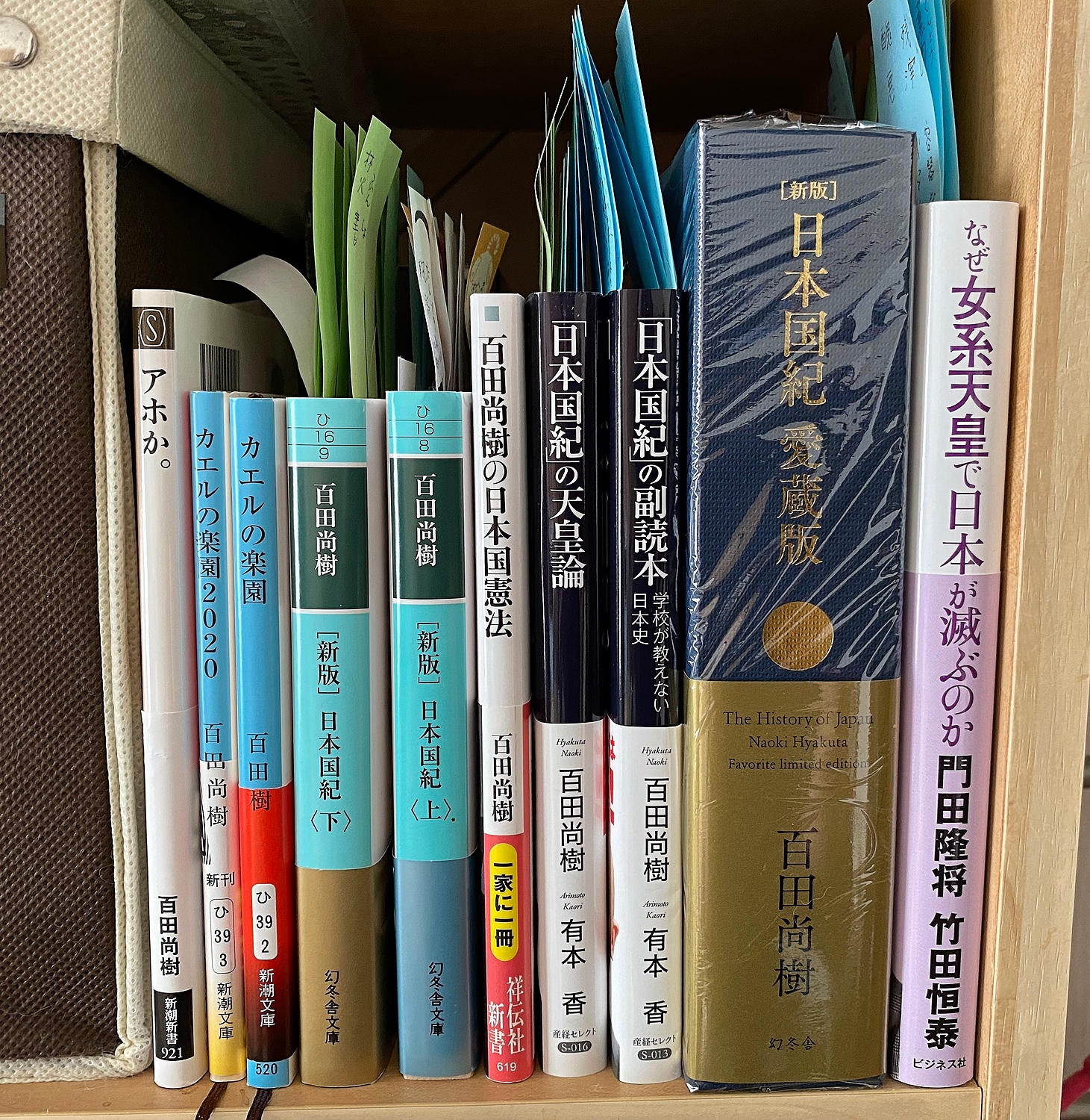日本国紀 - 文学・小説