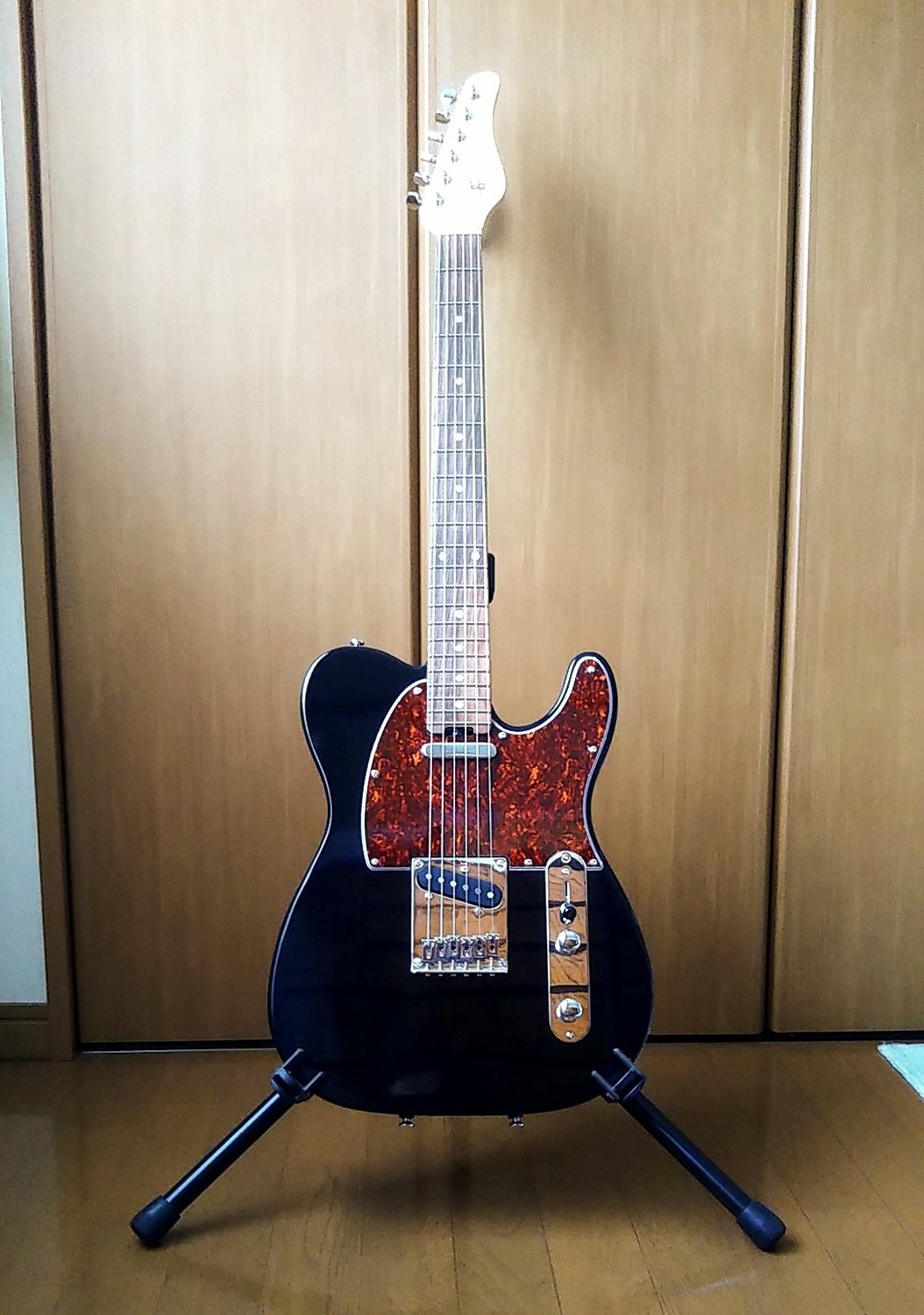 楽天市場】SCHECTER OL-TL BLK シェクター テレキャスタータイプ