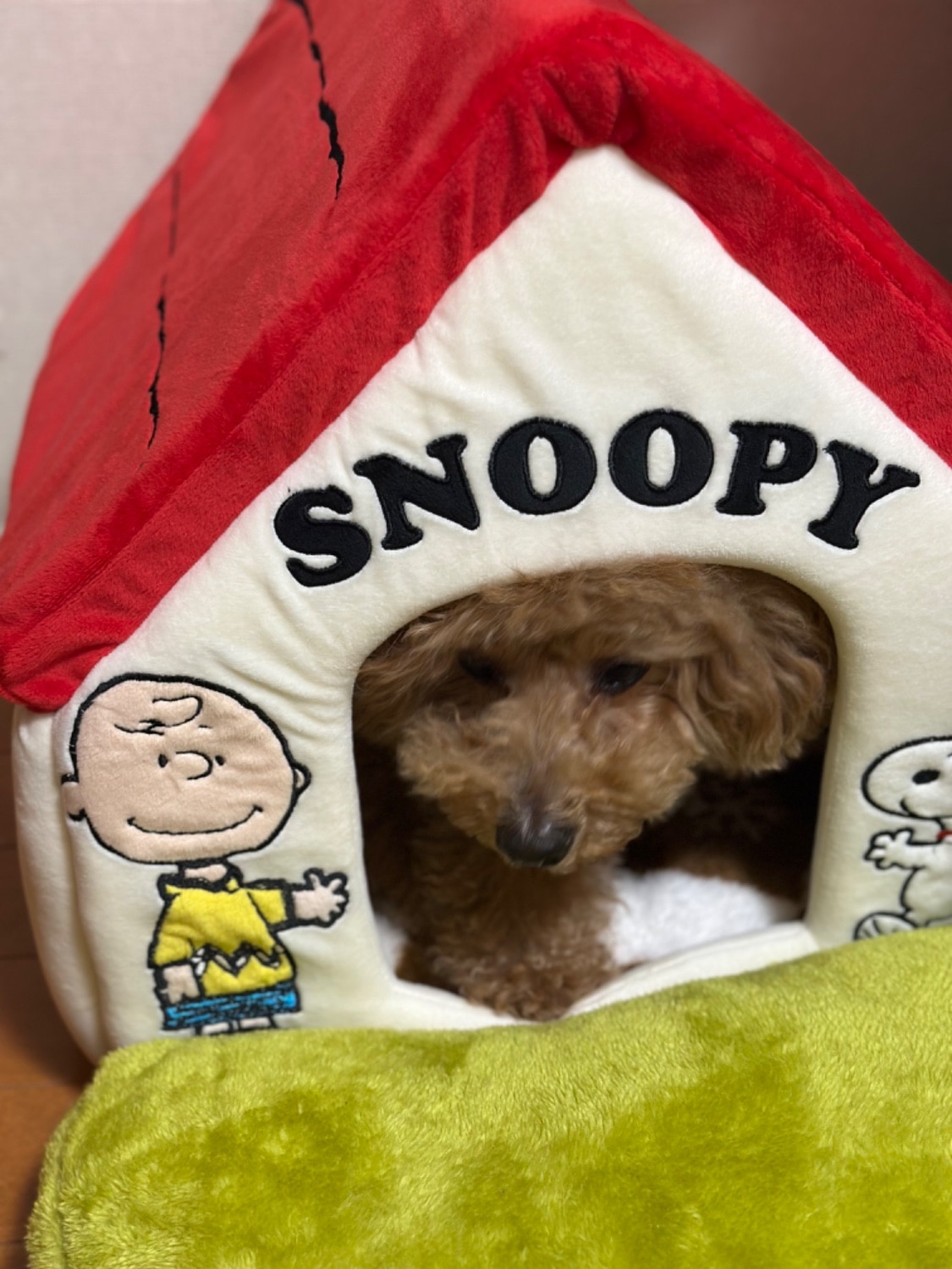 スヌーピーハウス 犬用ベッド ペットパラダイス レビュー画像7