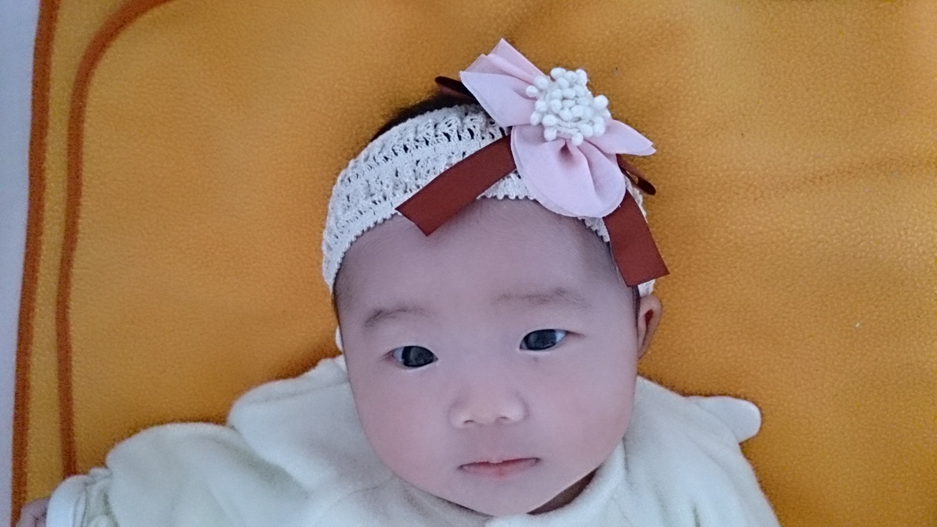 楽天市場 ベビー ヘッドバンド 赤ちゃん ヘアアクセサリー ベビー ヘアバンド 髪飾り 女の子 お花 ピンク 可愛い 髪飾り 0歳 使える 大特価 2個で1 000円 ベビー ヘアバンド 赤ちゃん用 髪飾り シフォン お花フ ォーマル 赤ちゃん 七五三 ヘアアクセサリー プチ