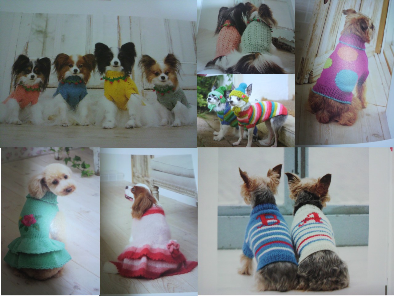 Amazon.co.jp: カンタン、かわいい!小型犬のための手編みウエア
