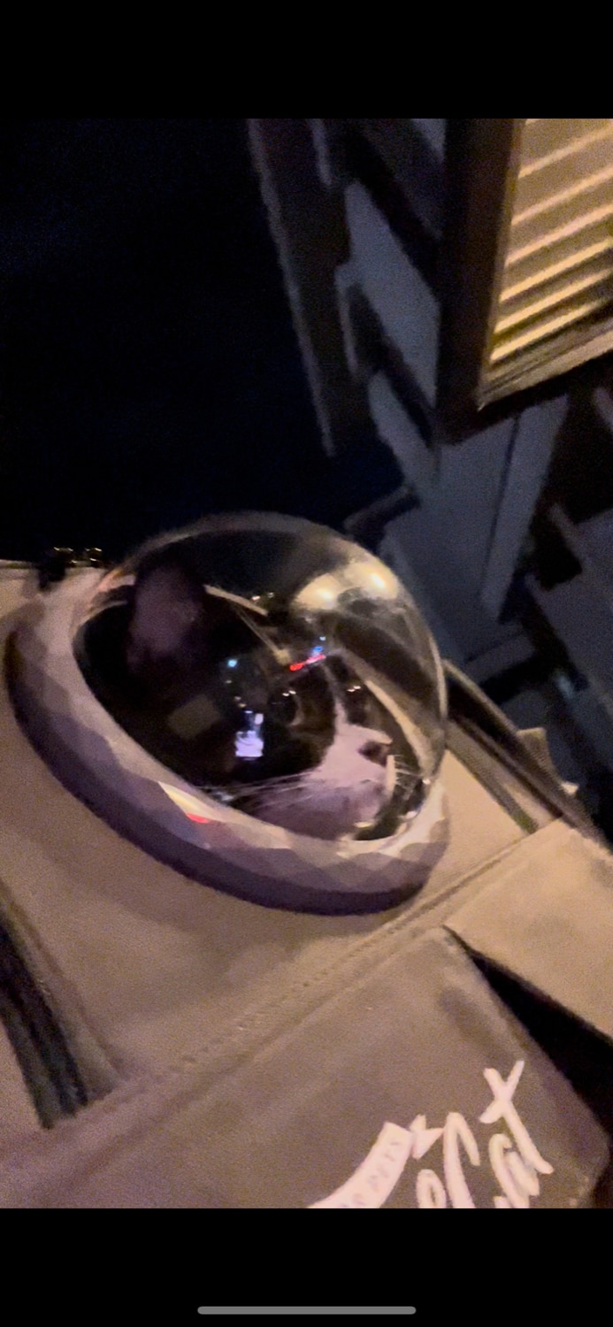 ペットキャリーリュック 宇宙船キャリー 猫キャリーバッグ レビュー画像9