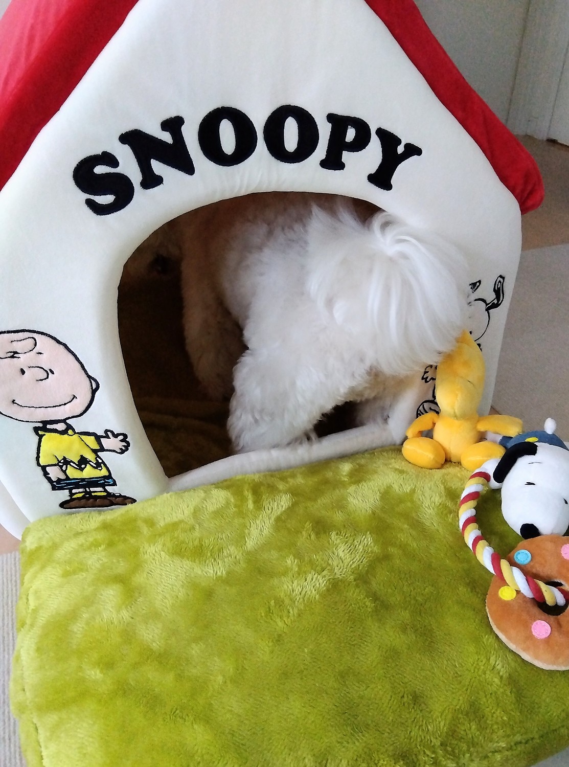 スヌーピーペットハウス 赤い屋根ハウス口コミ ペットパラダイス レビュー画像13