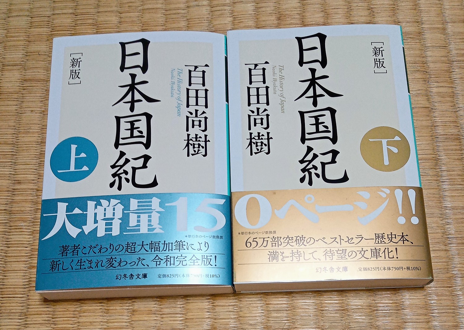 日本国紀 - 文学・小説