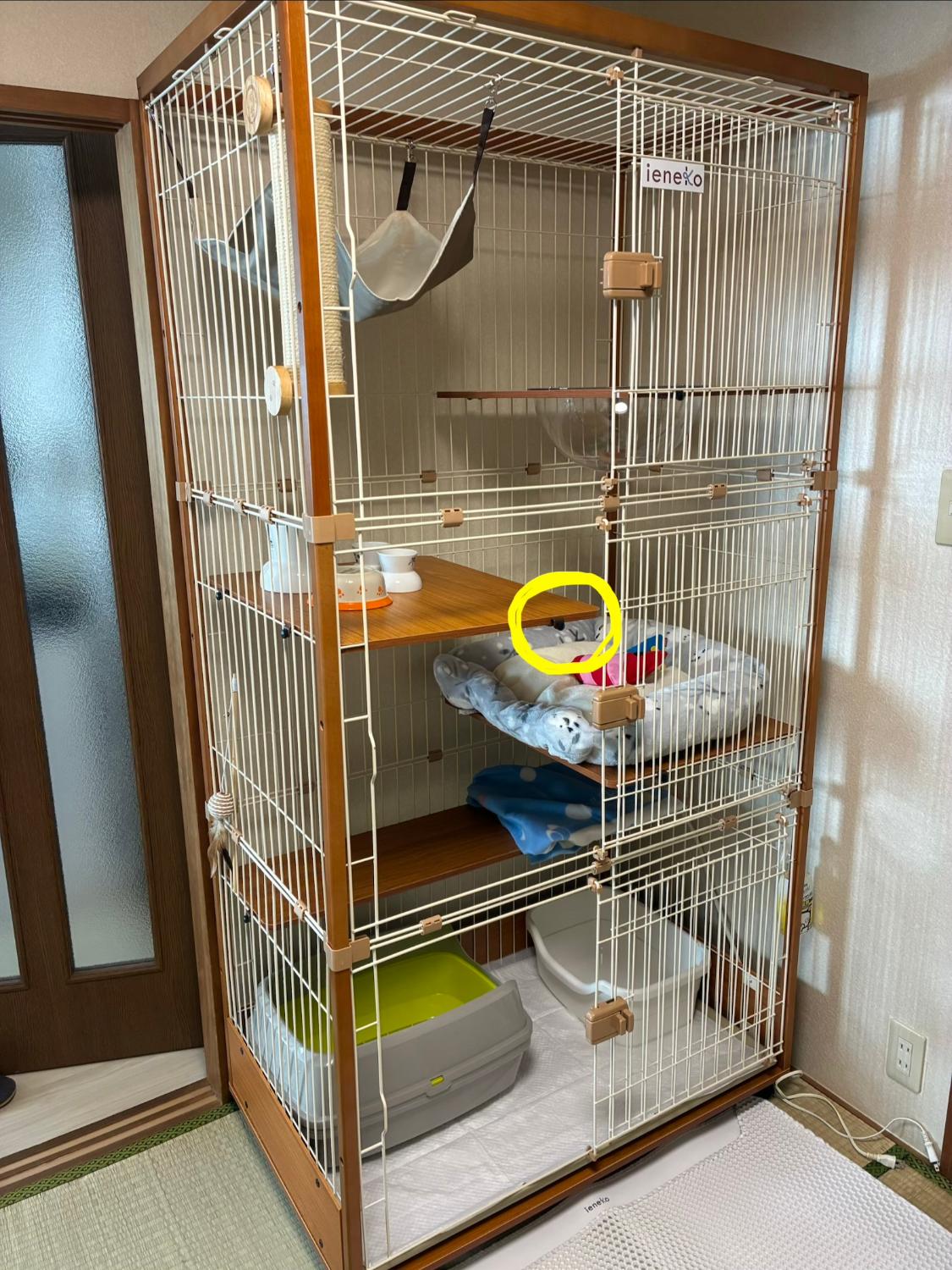 楽天市場】猫 ケージ 3段 2段 木製 キャスター スライドドア ワイド