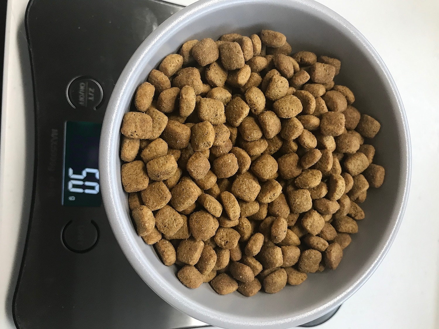 楽天市場 猫 フードボウル 餌皿 エサ皿 食器 磁器 犬 小型犬 にも フードボール 高さがある 食べやすい 餌 エサ 餌入れ エサ入れ エサいれ 皿 お皿 ペット おしゃれ 送料無料 美濃焼 食品衛生法クリア 電子レンジ 食器洗浄機対応 レギュラーサイズ Life Design