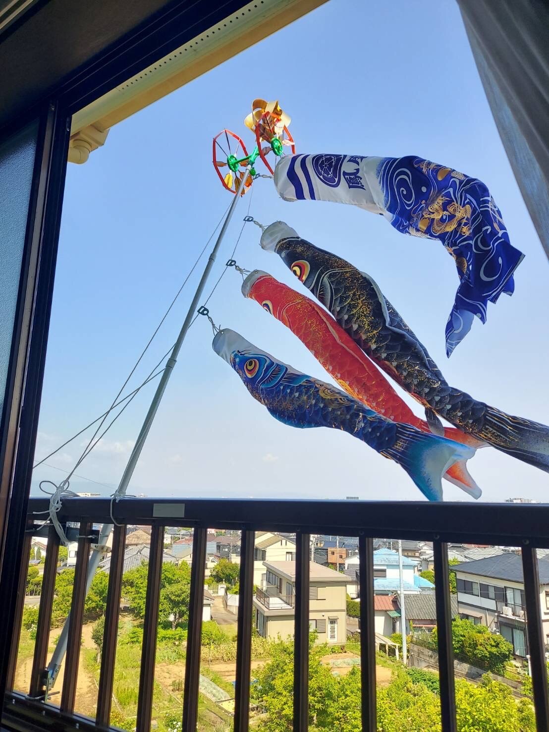 楽天市場】こいのぼり 鯉のぼりセット 日本製 ベランダ 鯉 蒼龍【そう