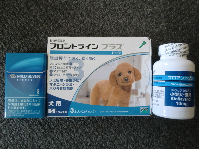 楽天市場】プロアントゾン 10mg 小型犬・猫用(120カプセル)【共立製薬】(本間アニマルメディカルサプライ) | みんなのレビュー・口コミ