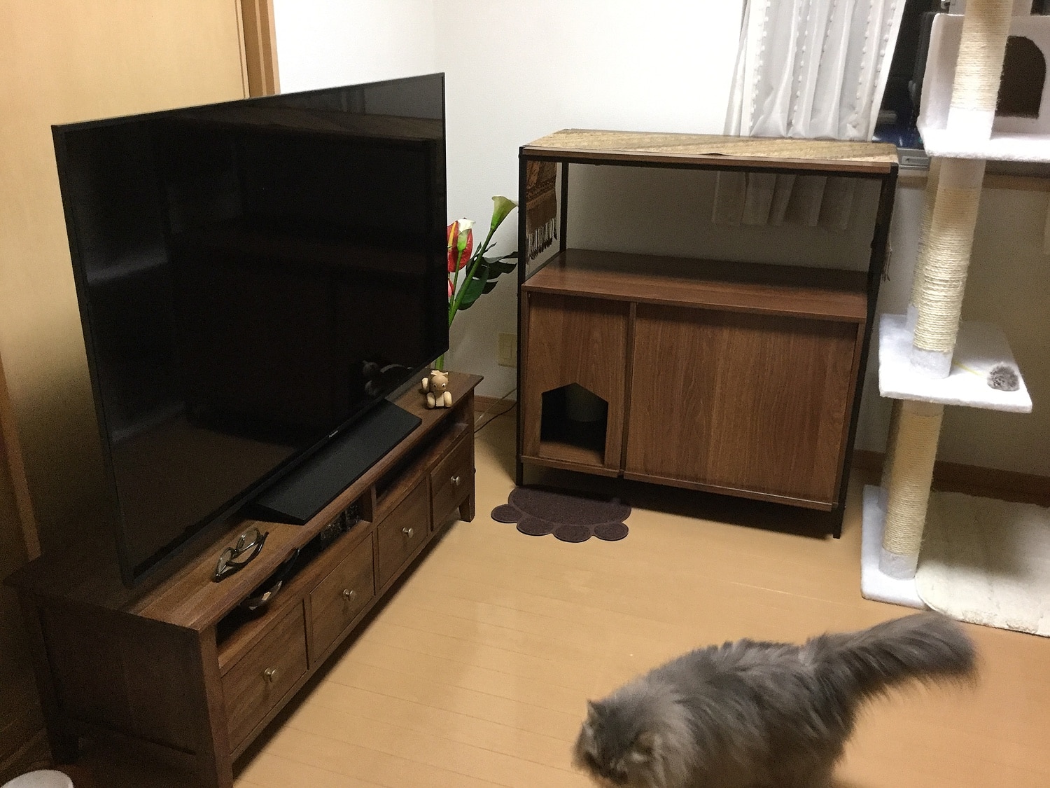 猫 トイレ 収納 隠す おしゃれ 家具 目隠し ペット用品 ねこ カバー インテリア ラック リビング 収納 棚 収納棚 猫トイレ収納 Selma セルマ レビュー画像15