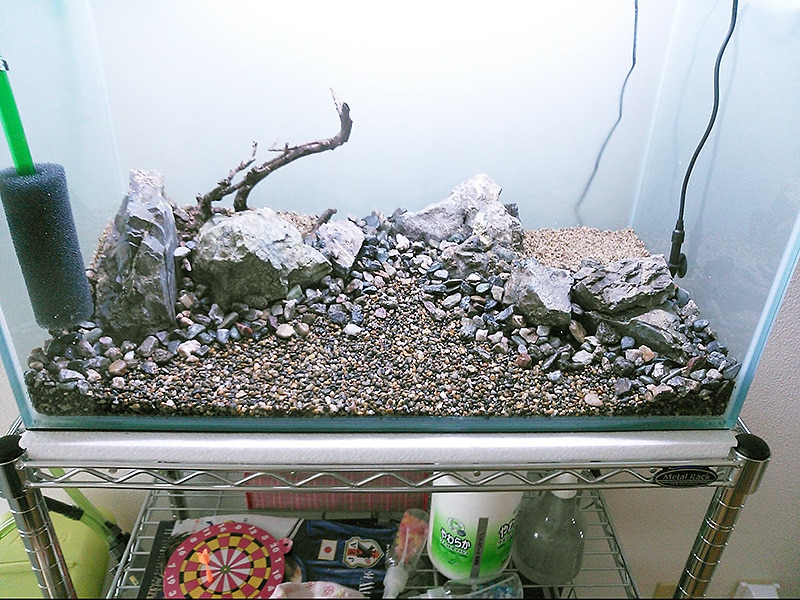 楽天市場 渓流石 No 6 1kg 粒径5 15mm 関東当日便 Charm 楽天市場店 みんなのレビュー 口コミ