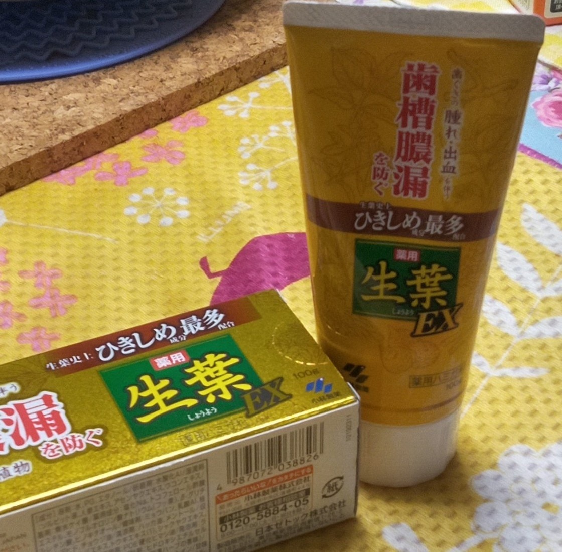 生葉EX 3箱 小林製薬 薬用ハミガキ「生葉EX」 100g × 3箱 ＜18＞-激安 購入 オンライン