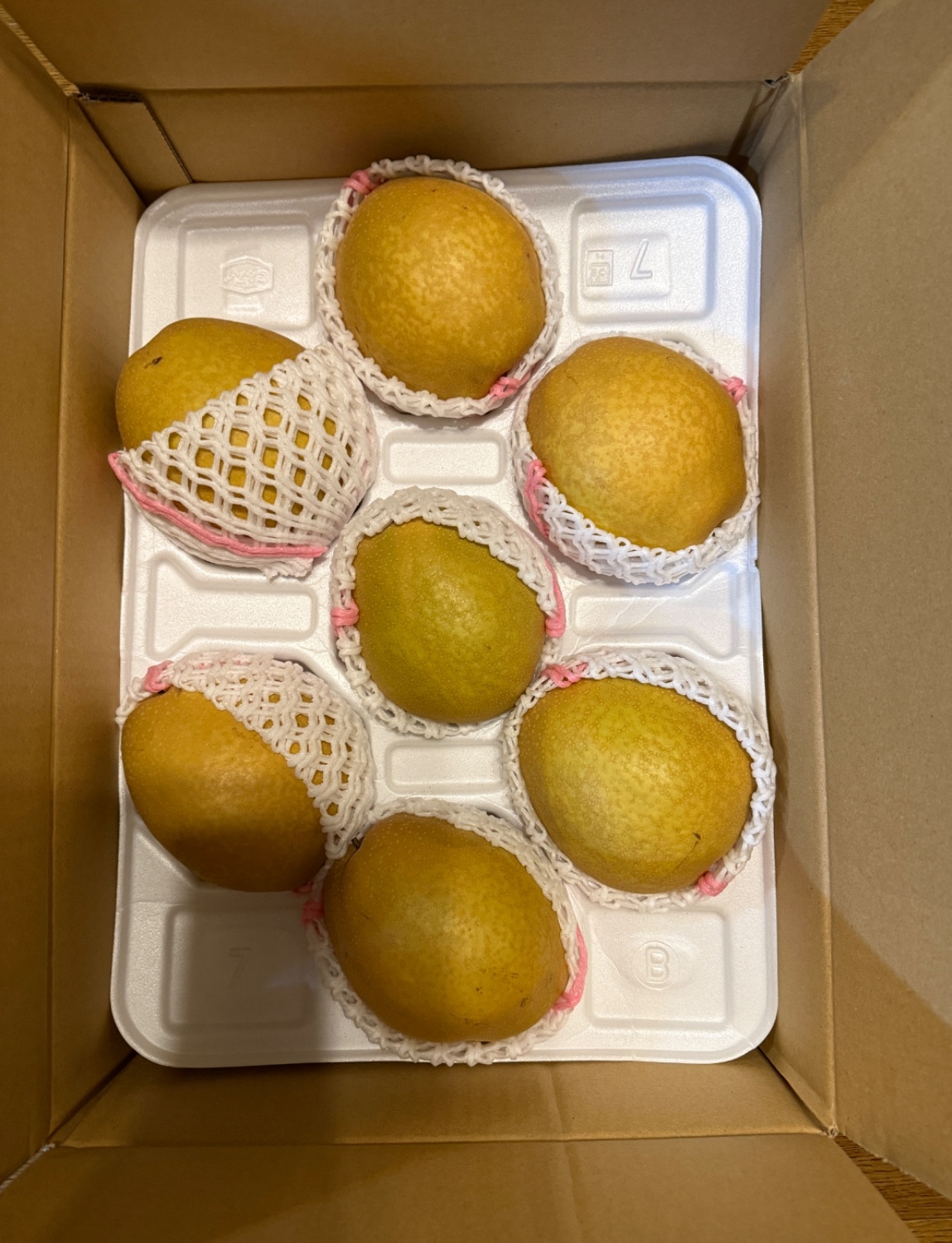 楽天市場】王秋梨（おうしゅうなし）5kg詰（5〜12玉入） 鳥取県産 梨