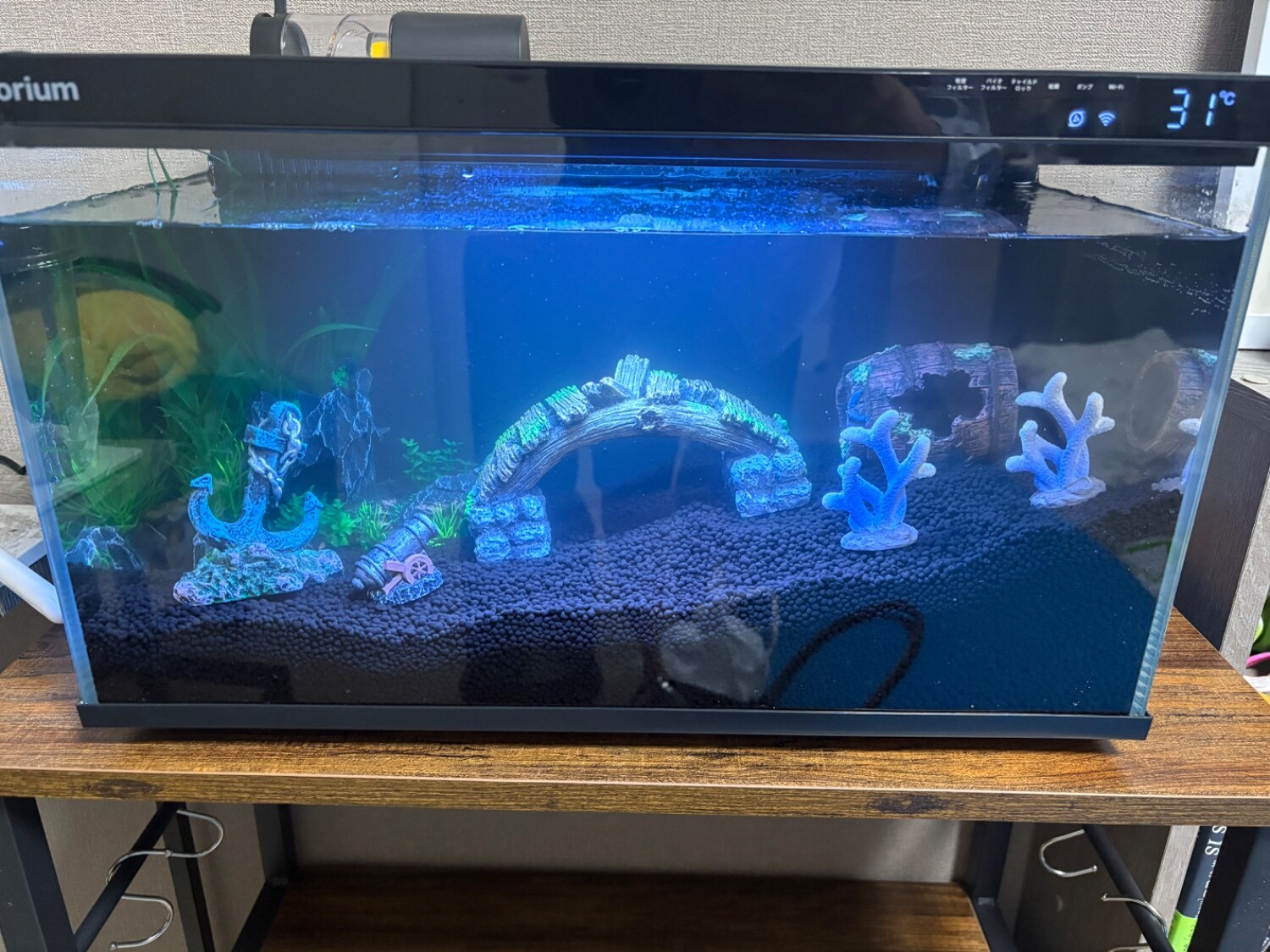 スマート水槽 ‐ Biorium – Biorium公式オンラインショップ Biorium IoT